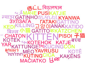 Image showing Kitten multilanguage wordcloud background concept