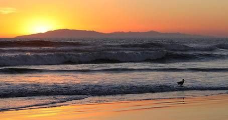 Image showing Sunset Waves