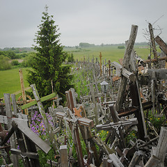 Image showing Hill of crosses, Lithuania, Europe