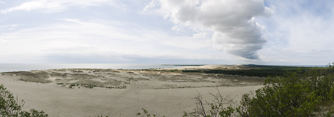 Image showing Sand dunes in Curonian Spit, Lithuania, Europe