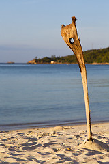 Image showing asia sunrise   kho   bay isle   beach    rocks  cane   sea 