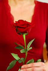 Image showing Woman rose