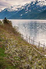 Image showing scenic landscapes of the Norwegian fjords.