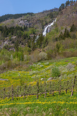 Image showing waterfall in Norway