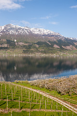 Image showing scenic landscapes of the Norwegian fjords.