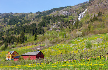 Image showing waterfall in Norway