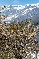 Image showing Landscape with mountains. Norwegian fjords