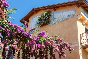 Image showing typical decorative window in the old town 