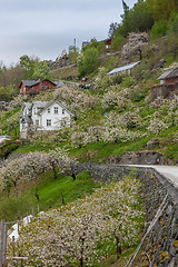 Image showing Landscape with mountains.  village in Norwegian fjords