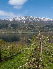 Image showing Landscape with mountains. Norwegian fjords