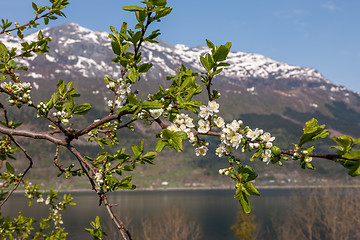 Image showing Landscape with mountains. village in Norwegian fjords