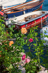 Image showing roses on the pier