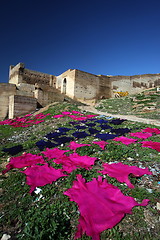 Image showing AFRICA MOROCCO FES