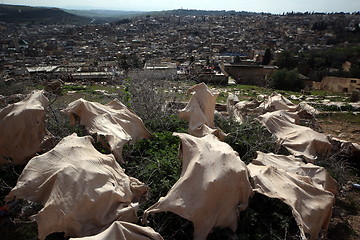 Image showing AFRICA MOROCCO FES