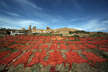 Image showing AFRICA MOROCCO FES