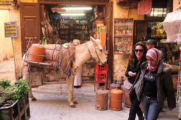 Image showing AFRICA MOROCCO FES