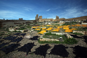 Image showing AFRICA MOROCCO FES