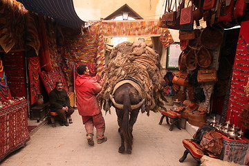 Image showing AFRICA MOROCCO FES