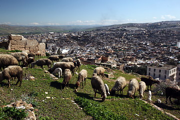 Image showing AFRICA MOROCCO FES