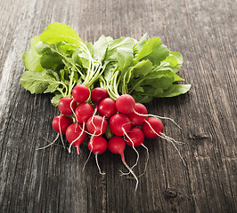 Image showing Radish