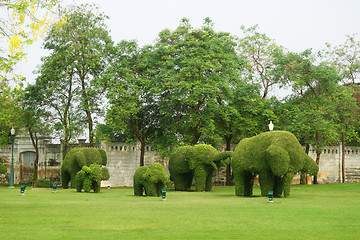 Image showing The green elephant trees in Bang Pa-In Palace