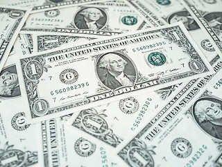 Image showing Dollar notes 1 Dollar