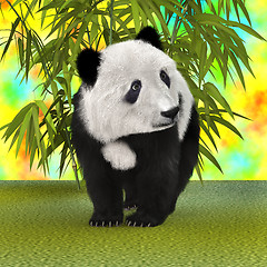 Image showing Panda Bear Cub