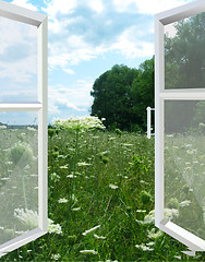 Image showing opened window to the summer field