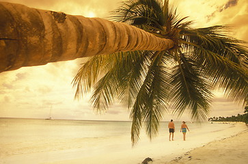 Image showing AMERICA CARIBBIAN SEA DOMINICAN REPUBLIC