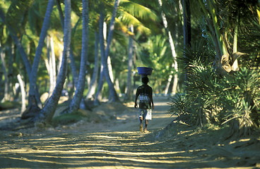 Image showing AMERICA CARIBBIAN SEA DOMINICAN REPUBLIC