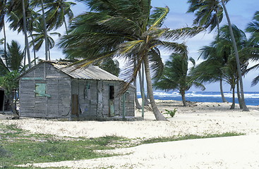 Image showing AMERICA CARIBBIAN SEA DOMINICAN REPUBLIC