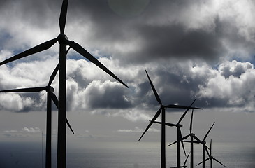 Image showing EUROPE CANARY ISLANDS LANZAROTE