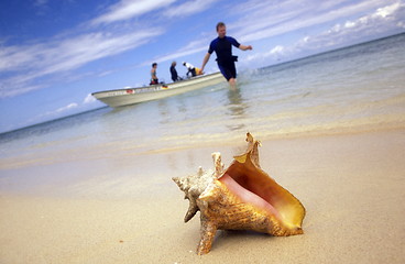 Image showing AMERICA CARIBBIAN SEA DOMINICAN REPUBLIC