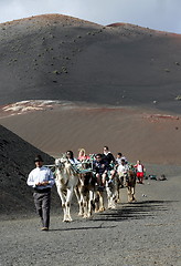 Image showing EUROPE CANARY ISLANDS LANZAROTE