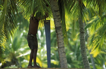 Image showing AMERICA CARIBBIAN SEA DOMINICAN REPUBLIC