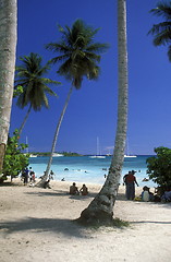 Image showing AMERICA CARIBBIAN SEA DOMINICAN REPUBLIC