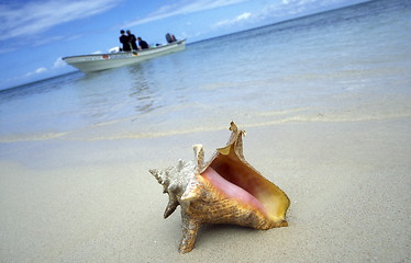 Image showing AMERICA CARIBBIAN SEA DOMINICAN REPUBLIC