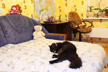 Image showing black cat sleeping on the bed in children's room