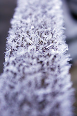 Image showing hoar-frost on the wood