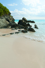 Image showing Horseshoe Bay Beach in Bermuda