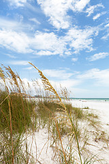 Image showing Siesta Key Florida