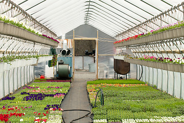 Image showing Nursery Greenhouse Interior