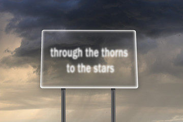 Image showing Billboard with inscription through thorns to stars