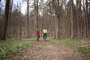 Image showing Active family biking