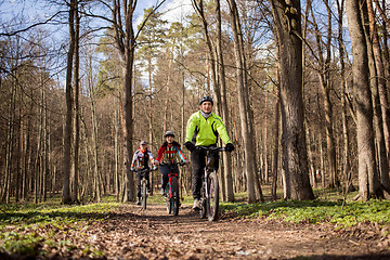 Image showing Active family biking