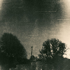 Image showing Stork nest pole surrounded by trees at night, vintage grunge picture