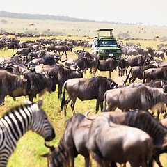 Image showing Jeeps on african wildlife safari. 