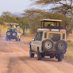 Image showing Jeeps on african wildlife safari. 