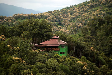 Image showing ASIA THAILAND CHIANG MAI FANG