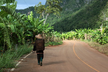 Image showing ASIA THAILAND CHIANG MAI CHIANG DAO MINORITY